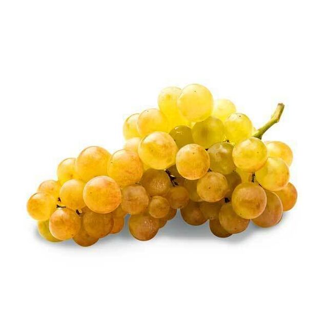 Gold-gelbe Weintrauben Palatina
