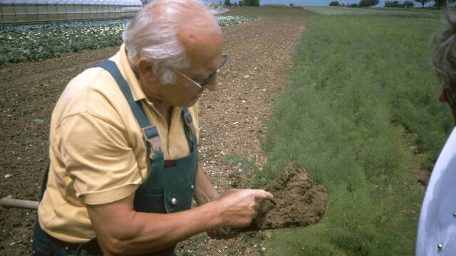 Bodenprobe in den 1980er Jahren beim Bioland-Betrieb Walter Gaiser in Waldorfhesslach in Baden-Württemberg.