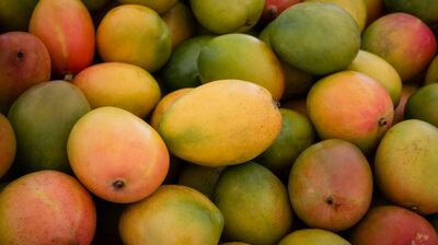 Ein Haufen Mangos