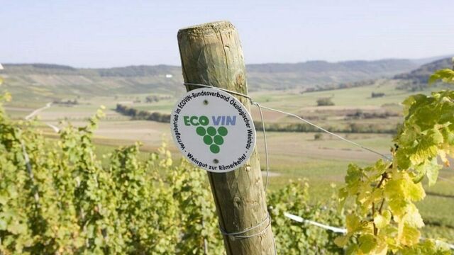 Ecovin Bio Wein