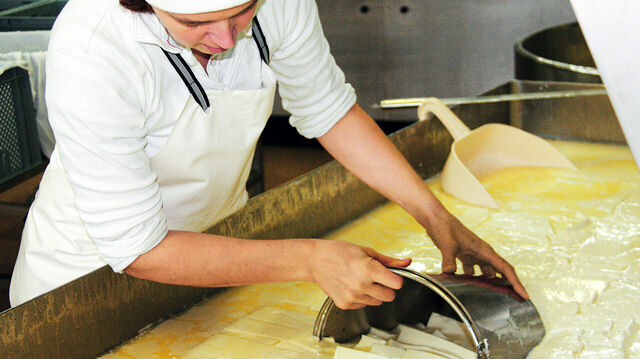Eine Mitarbeiterin bei der Käseproduktion