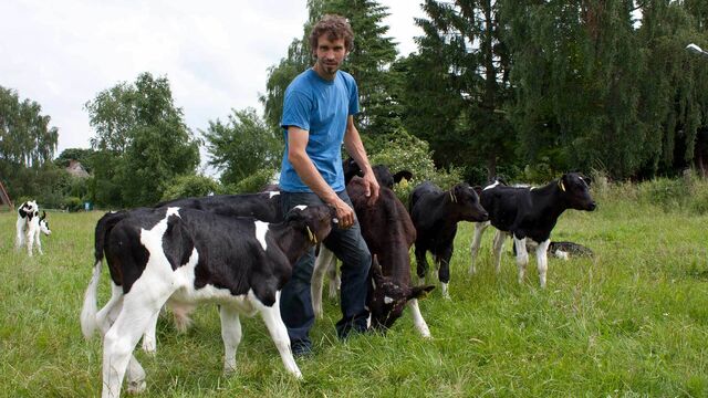 Falk Teschemacher mit Kühen