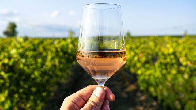Eine Hand hält ein Weinglas vor Weinreben bei sonnigem Wetter