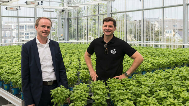 Rewe Green Farming-Markt; Jürgen Scheider, Geschäftsführer von Rewe Region Mitte (li.) und Nicolas Leschke Co-Gründer und Co-Chef des Berliner Start-ups „Ecofriendly Farmsystems“