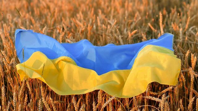 Ukraine-Flagge auf Getreidefeld