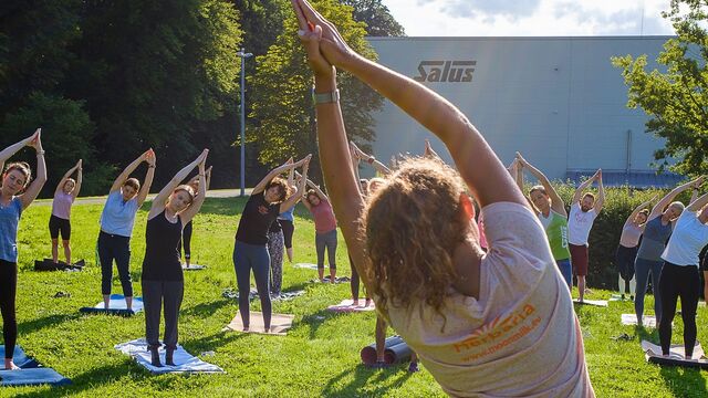 Mitarbeitende der Salus Gruppe machen Yoga auf einer Wiese